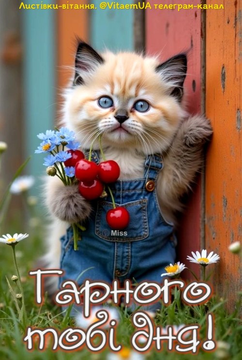 Гарного дня