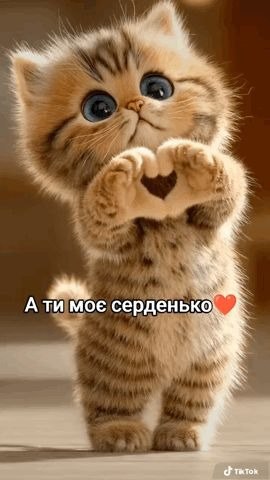 любов