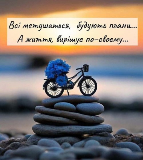 Мудрі слова