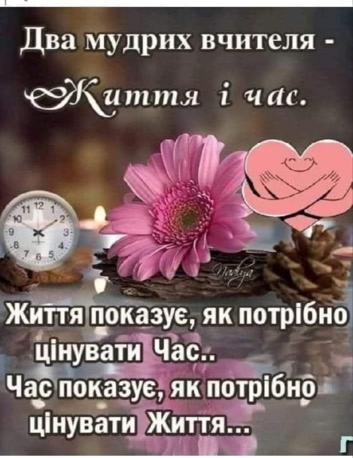 Мудрі слова 5114
