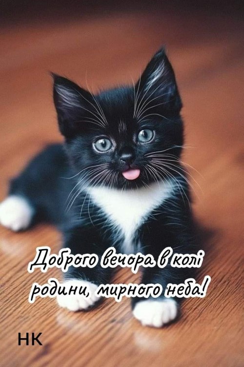 Гарного вечора