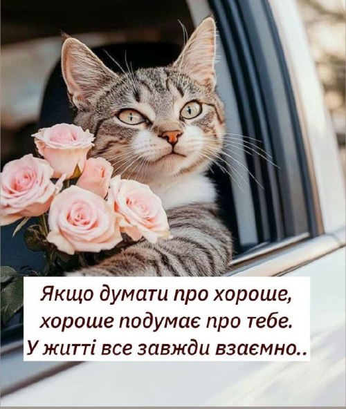 , поради, мудрощі, цитати