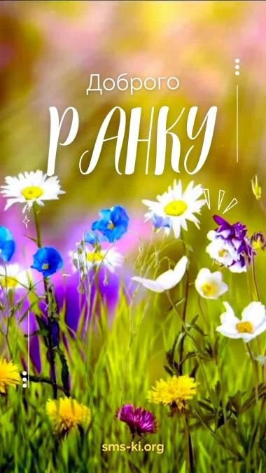 Доброго ранку
