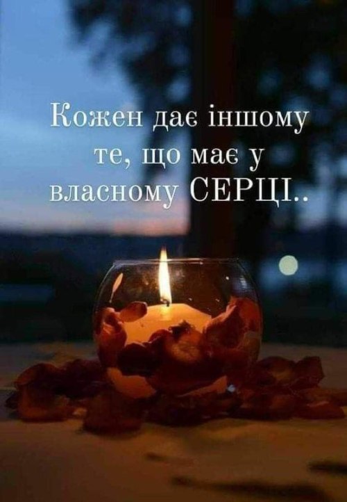 Мудрі слова