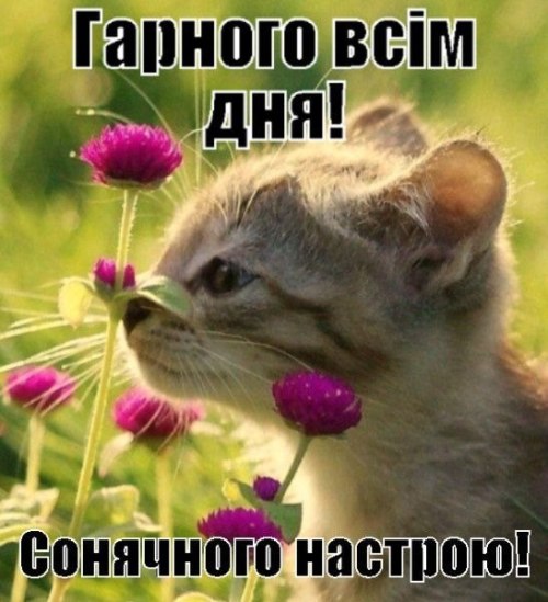Гарного дня