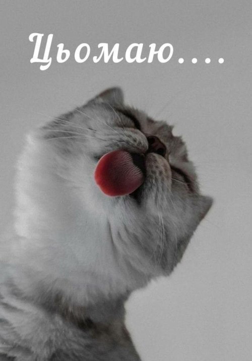любов