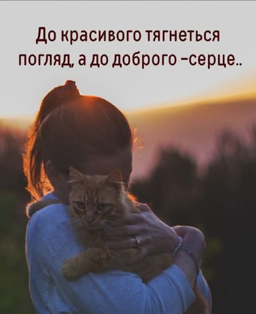 Мудрі слова