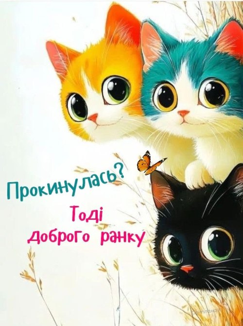 Доброго ранку
