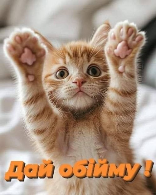 любов