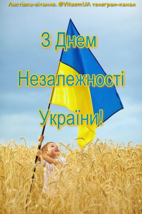 День Незалежності, вітання, З днем Незалежності, , листівки