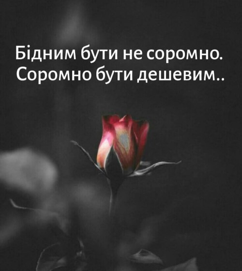 Мудрі слова