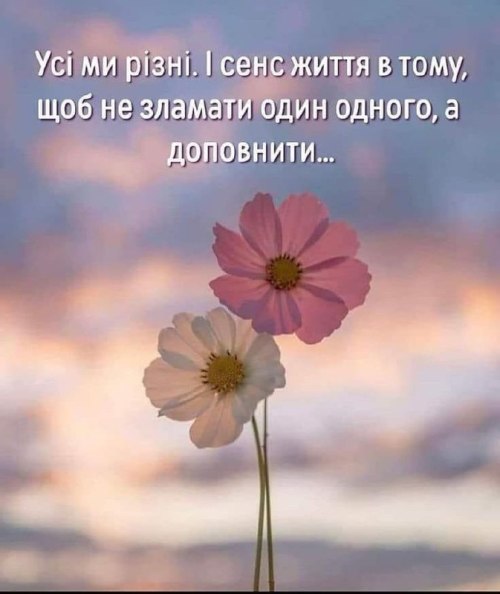 Мудрі слова