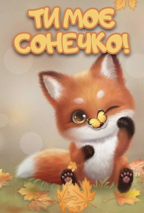 любов