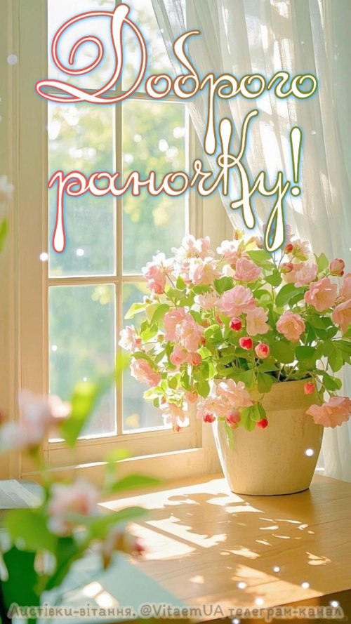 Доброго ранку