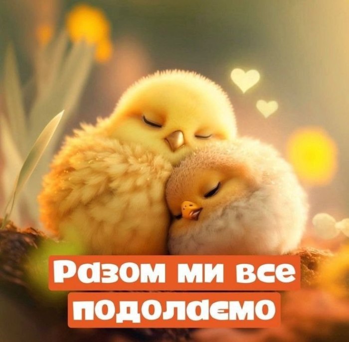 любов