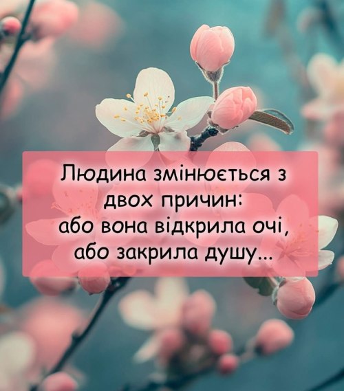 Мудрі слова