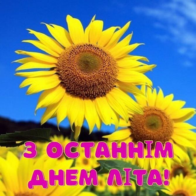літо, листівки, серпень, побажання 5365