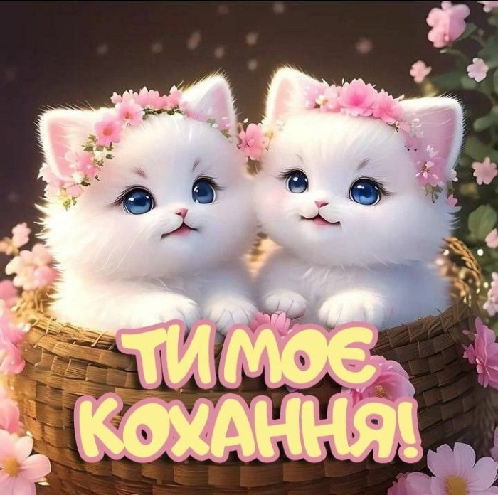 любов