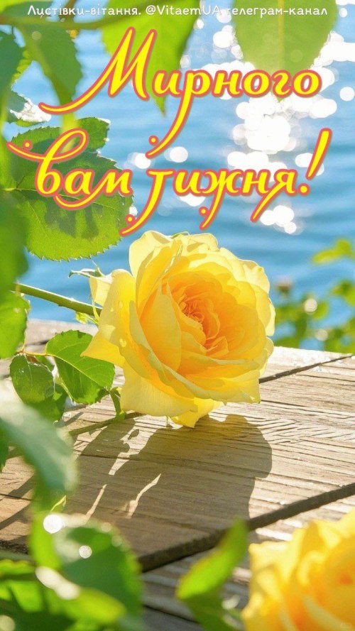 мирноготижня, листівки, побажання 5377