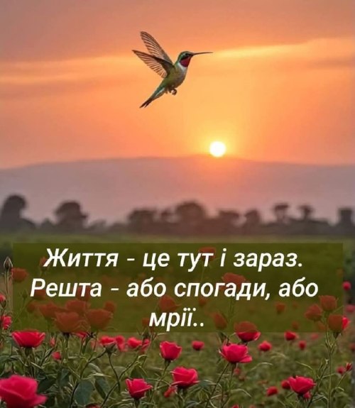 Мудрі слова