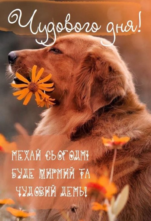Гарного дня 5388
