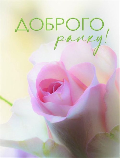 Доброго ранку