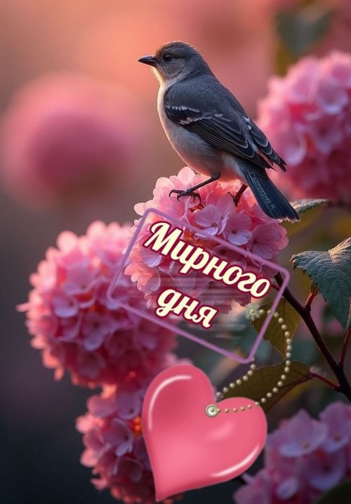 Гарного дня