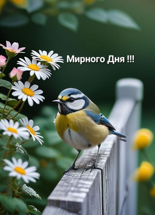 Гарного дня