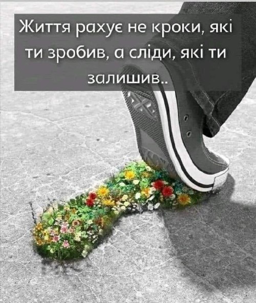 Мудрі слова 5421