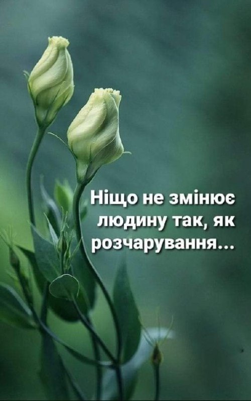 Мудрі слова