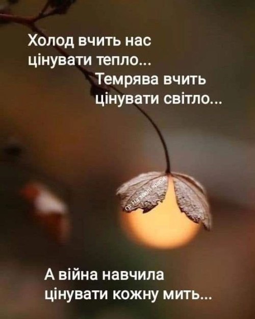 Мудрі слова