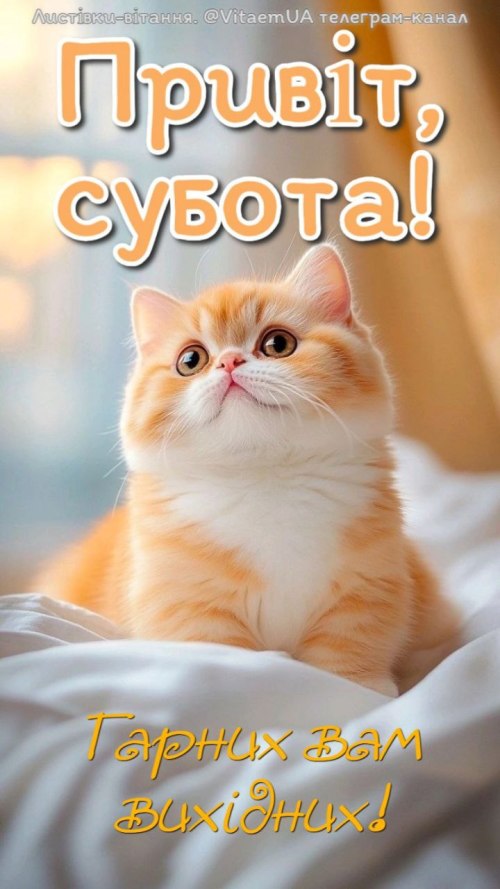 побажання, листівки, субота