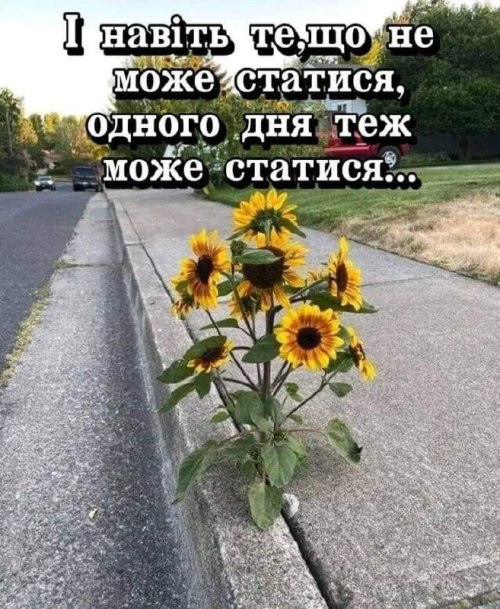 Мудрі слова