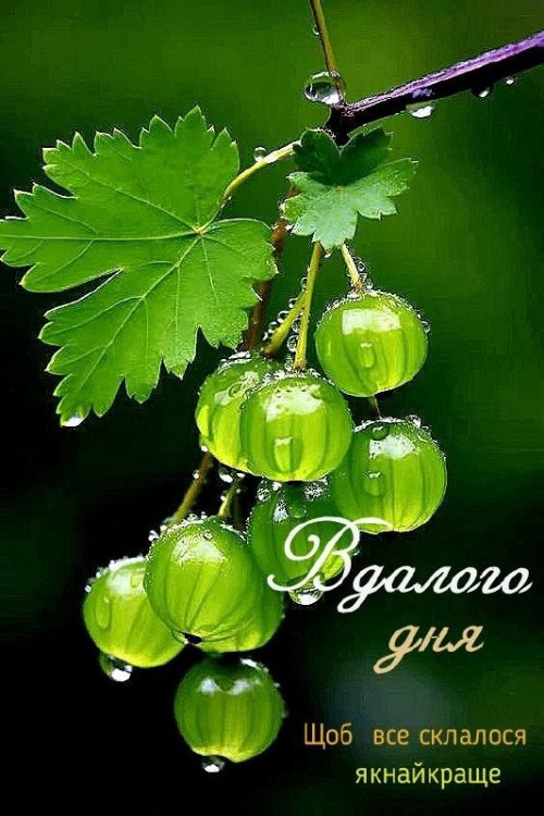 Гарного дня