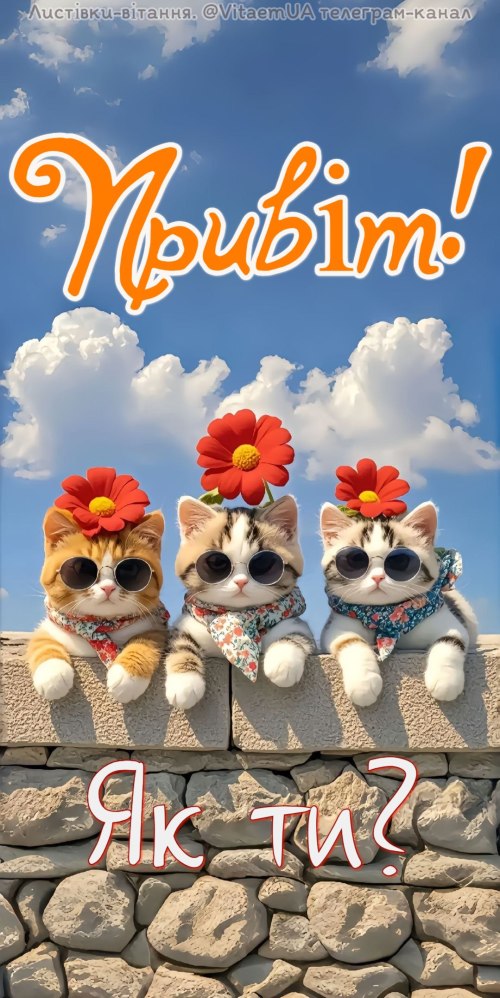  5572