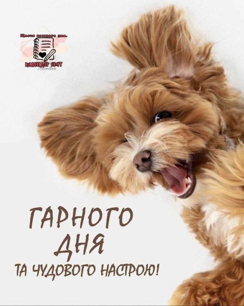Гарного дня