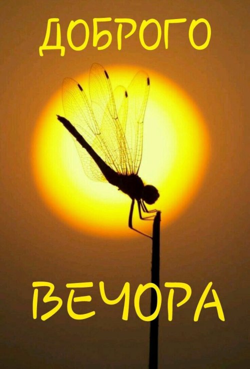 Гарного вечора 5635