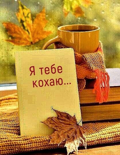 любов