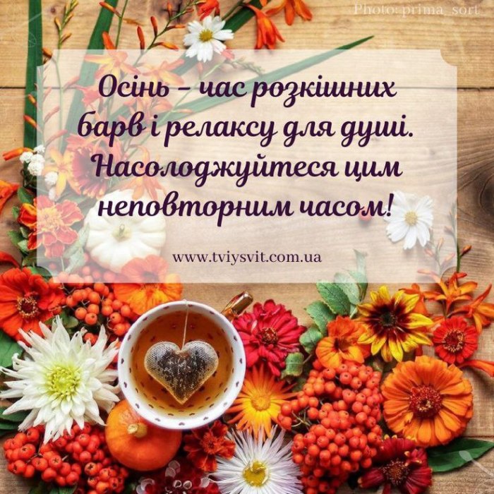 Мудрі слова, поради, осінь
