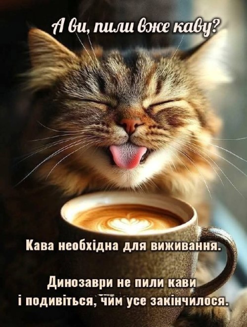день кави, гумор
