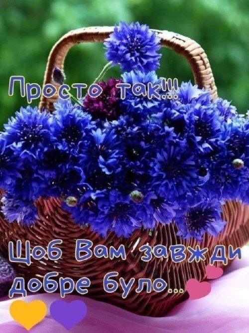 Доброго дня, побажання