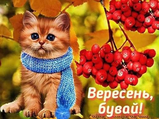 листівки, вересень, осінь, дякую