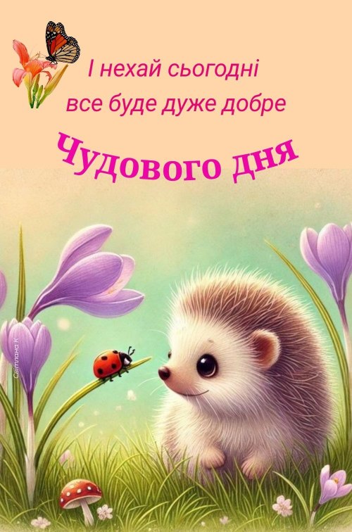 Гарного дня