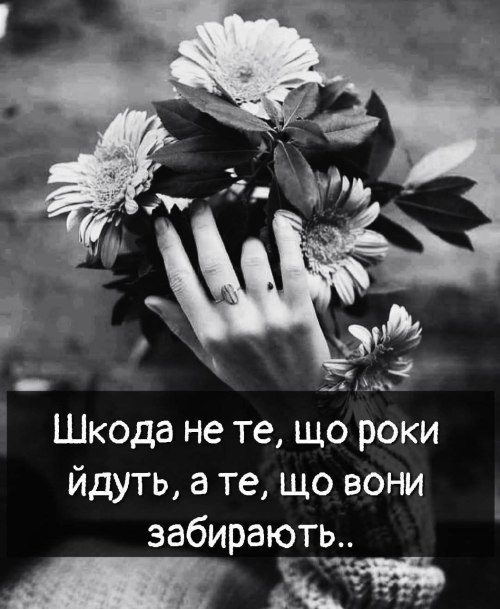 Мудрі слова