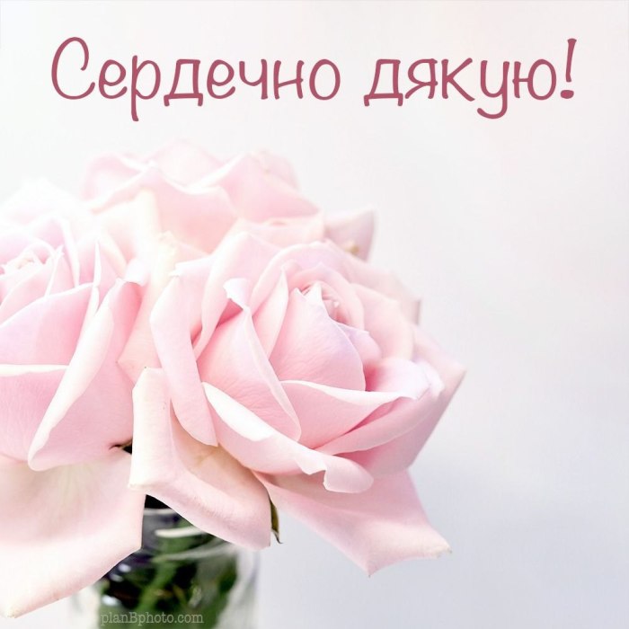 Дякую