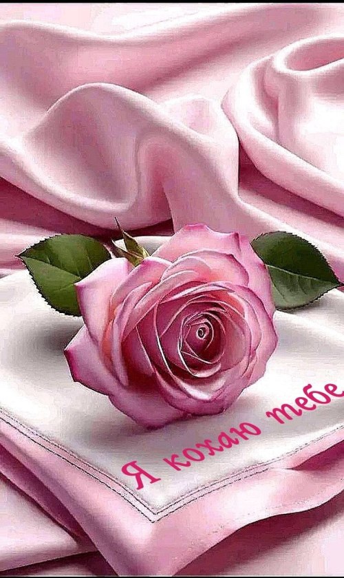 любов