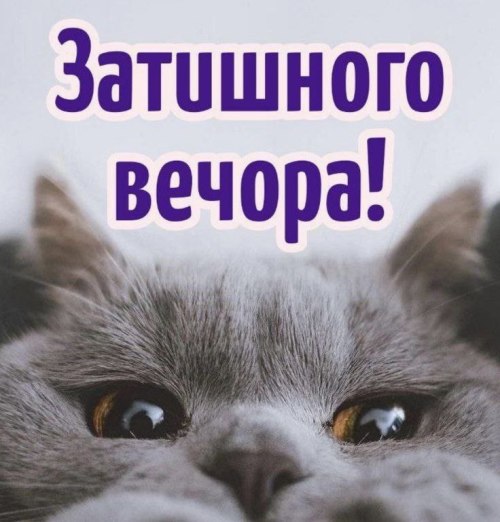 Гарного вечора