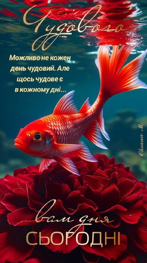 Гарного дня 5743