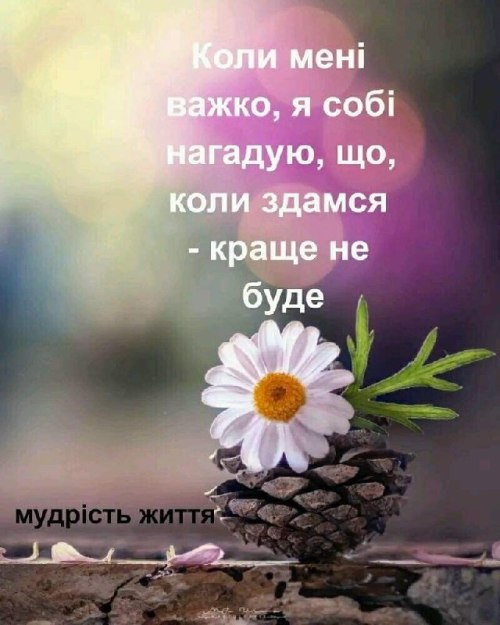 Мудрі слова