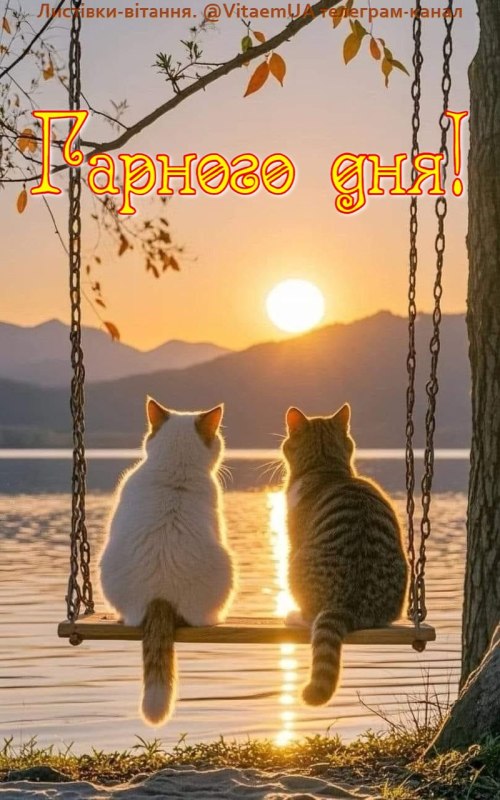 Гарного дня 5847